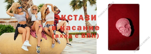 твердый Богданович