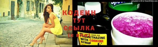 первитин Богородицк