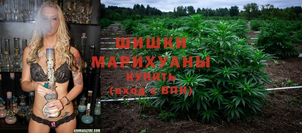 первитин Богородицк