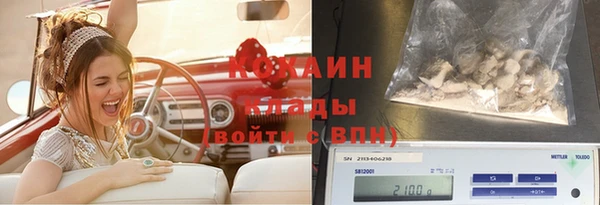 первитин Богородицк