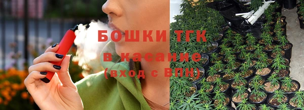 твердый Богданович