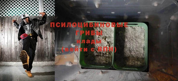 твердый Богданович