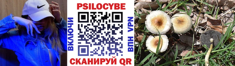Галлюциногенные грибы Cubensis  Купить где  Видное 